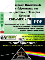 Xi Simpsio Ebramec-Ciefato - Cromo - Thao