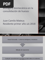 Reducción Abierta y Fijación Interna: RAFI | PDF | Hueso | Traumatologia