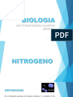 Trabajo Del Nitrogeno-Biologia