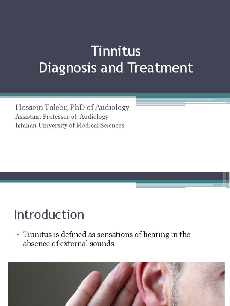 Tinnitus Diagnosis and Treatment: Hossein Talebi PHD of Audiology | PDF