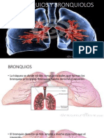 BROQUIOS Y BRONQUIOLOS.pptx