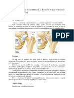 Kinetoterapia În Coxartroza Si Insuficienta Venoasa Cronica