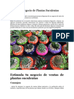 Mejora Tu Negocio de Plantas Suculentas