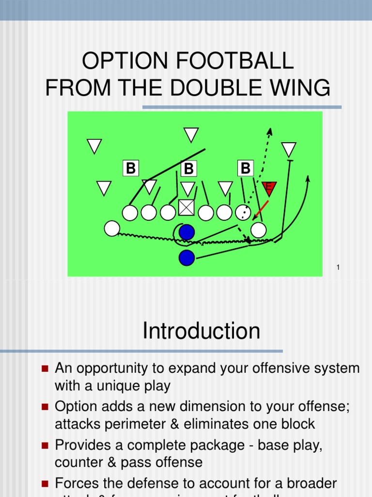 Double Wing Pass Plays Overview | PDF | Gridiron Football | Sports ...