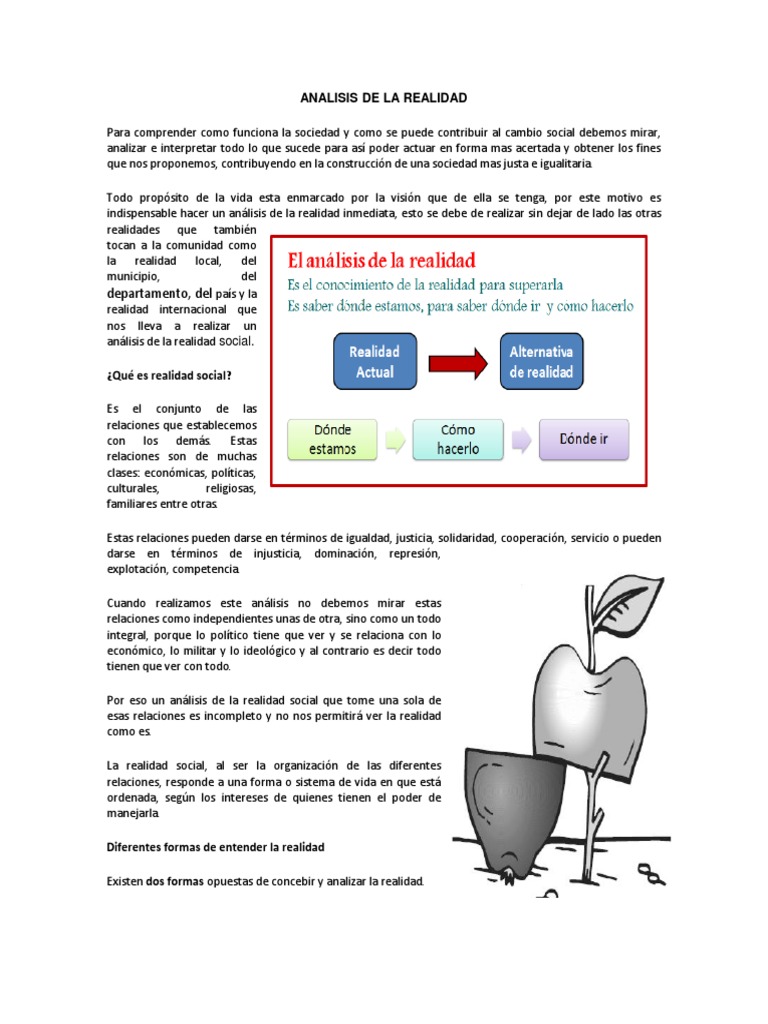 Analisis de La Realidad | PDF | Realidad | Conocimiento