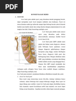 Download LP Low Back Pain by ridaahriani SN375148782 doc pdf