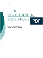 anatomimuskuloskeletal-1.pdf