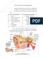 Organon Auditus