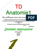 Schemas d  anatomie avec ses commentaires (1).pdf