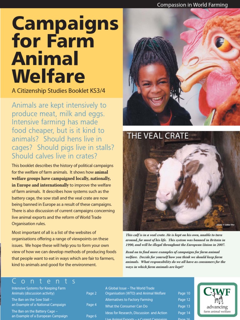 Campaigns For Farm Animal Welfare: The Veal Crate | PDF | Animal ...