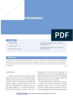 sn.pdf