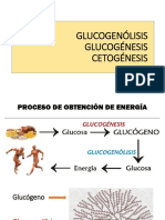 Glucogenolisis Glucogénesis Cetogénesis 5