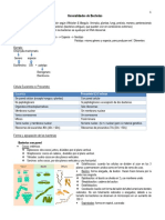 Generalidades de Bacterias y Mecanismos de Patogenecidad