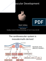 Embryology04-CardiovascularSystem