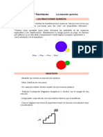 Reacciones quimicas.pdf