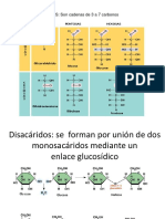 Repaso San Marcos Setiembre