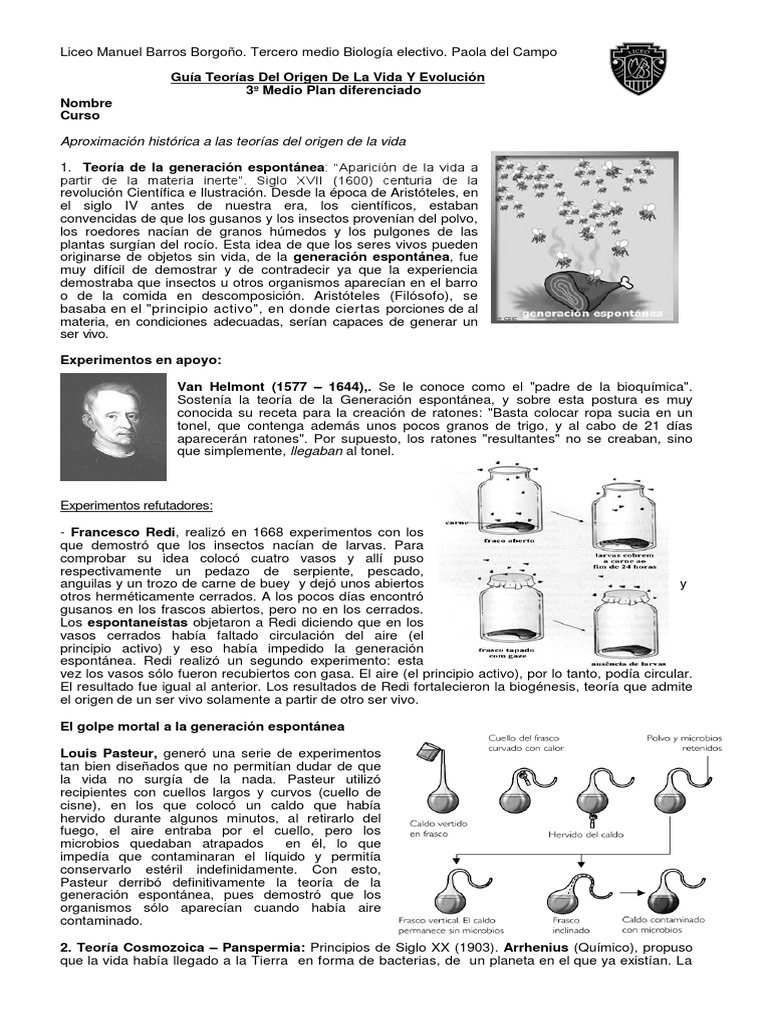 Teorías del Origen de la Vida | PDF | Vida | Organismos