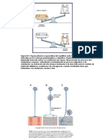 8. SNA.pptx