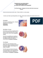 Fetal Development Week by Week Images