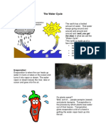 The Water Cycle - Docx Info Explained