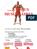 Tissus Musculaires 1