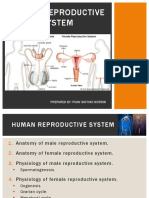 Human Reproductive System: Prepared By: Puan Sofiyah Nordin