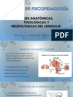 5 de Noviembre de 2016 - Bases Neurofisiológicas Del Lenguaje