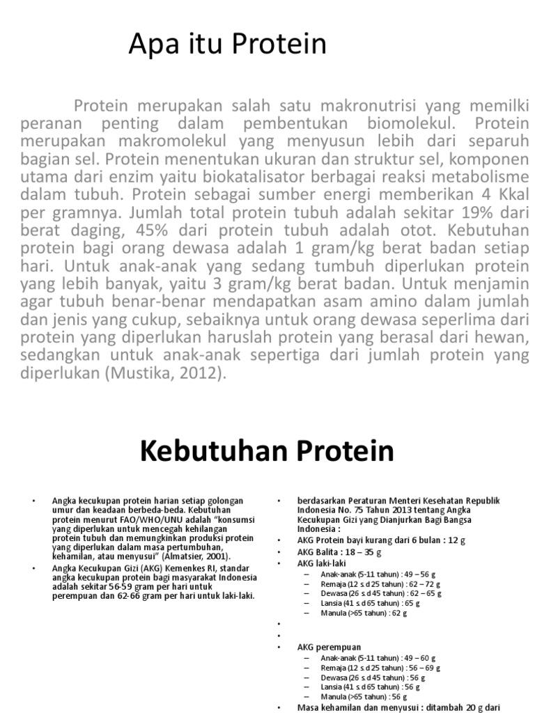 Apa Itu Protein PDF