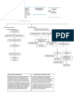 Predisposing Factors: Precipitating Factors: Perpetuating Factors: Risk Factors