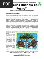 Sesión 04 - Medio Ambiente
