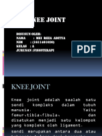 Knee Joint