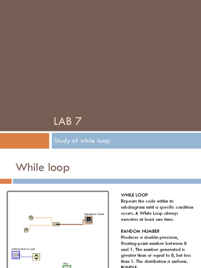 While Loop Programming Guide | PDF | Computers