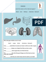 Body Parts Wordsearches 50630