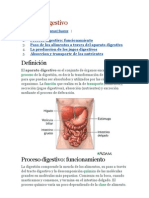 Sistema Digestivo