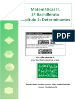 BC2 02 Determinantes