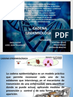 Modelo de Presentacion Cadena Epidemmiologica
