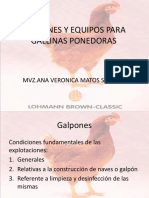 galponesyequiposparagallinasponedoras-100920173539-phpapp01