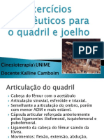 exercicios-terapeuticos-para-quadril-e-joelho.pdf