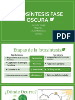 Fotosíntesis Fase Oscura