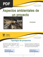 Exposicion Aspectos Ambientales de Un Proyecto (2)