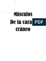 Musculos de La Cara y Cuello