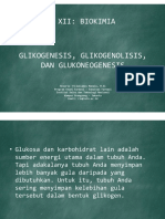 Kuliah Xii - Glukoneogenesis