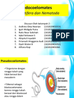 Pseudocoelomates (Rotifera Dan Nematoda) Kel 2
