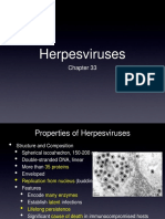06 Chapter 33 Herpesvirus