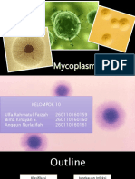 Mycoplasma Hominis