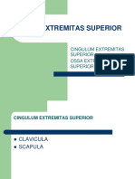 Kuliah 2 - Ossa Ekstremitas Superior Dan Inferior (Dr. Hasan)