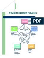 Org Design Variables PDF