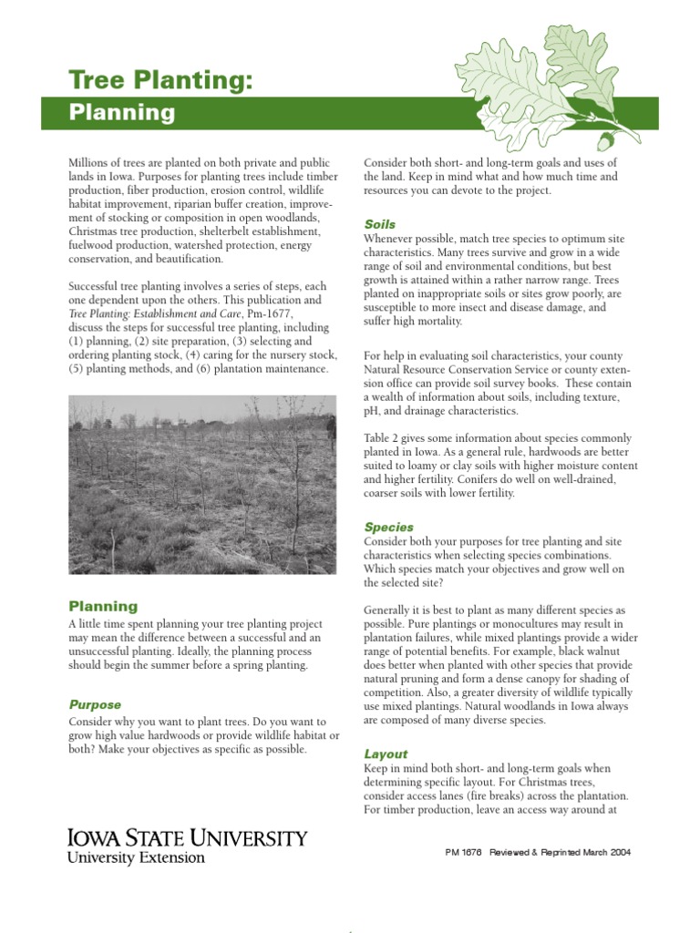 Gardening) Tree Planting - Planning | PDF | Science & Mathematics ...