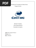 Relatório 1 - Densidade