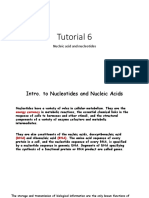 Tutorial 6: Nucleic Acid and Nucleotides